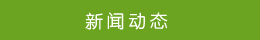 新聞動態(tài)